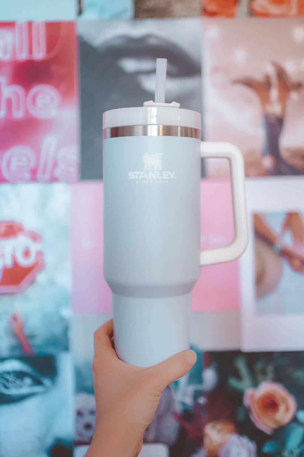 The BEST Smoothie Tumbler